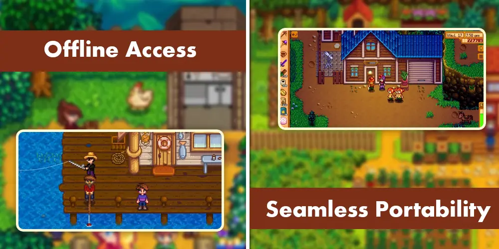 Offline access