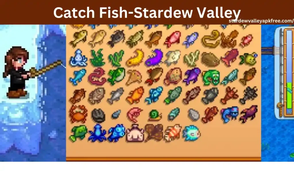 Catch Fish Stardew Valley
