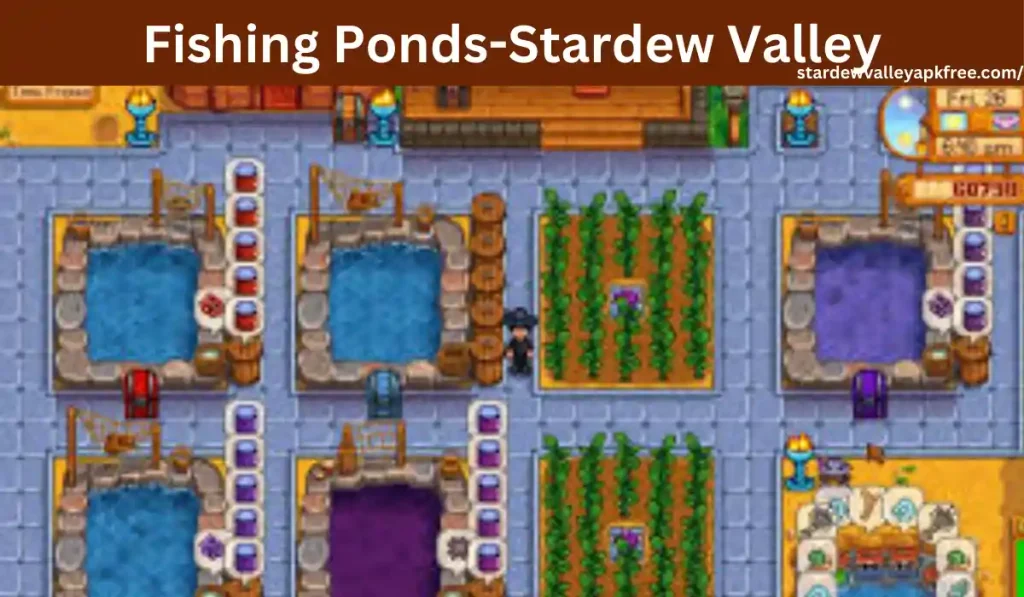 Fishing Ponds-Stardew Valley